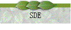 SDE